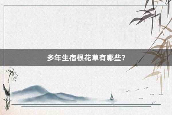 多年生宿根花草有哪些？