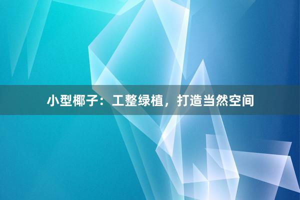 小型椰子：工整绿植，打造当然空间