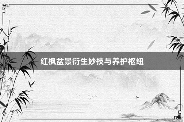 红枫盆景衍生妙技与养护枢纽