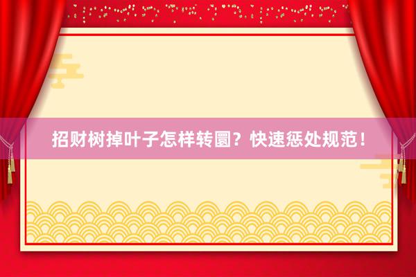 招财树掉叶子怎样转圜？快速惩处规范！